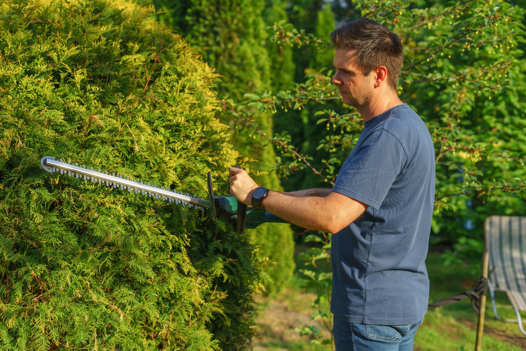 Essex landscaper trimming a tall conifer garden hedge with a cordless hedge trimmer on a sunny day - local SEO for landscapers by Click Boosters